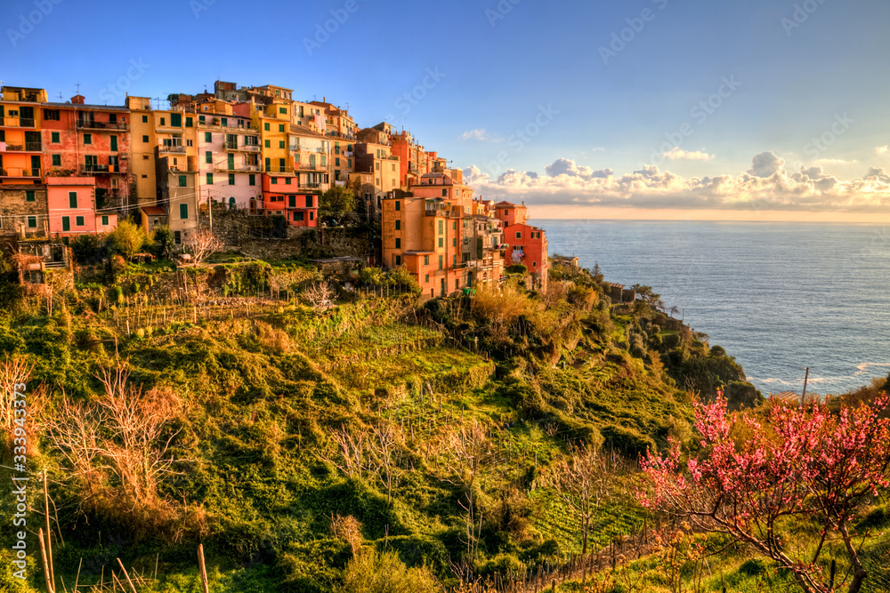 Beautiful sunset - on of the Cinque Terre town
