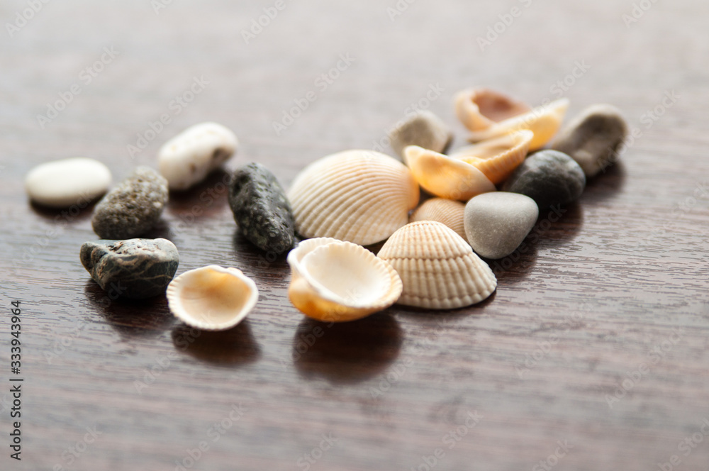 stones and sea shells