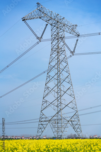 High voltage transmission tower in rape field