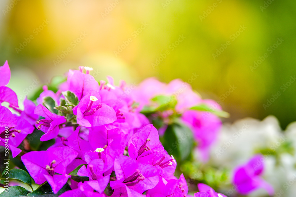 Paper flower in garden. Paper flower in garden.