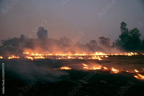 Burn rice stubble with flames and smoke causing PM2.5 dust. all around the rice fields at evening.