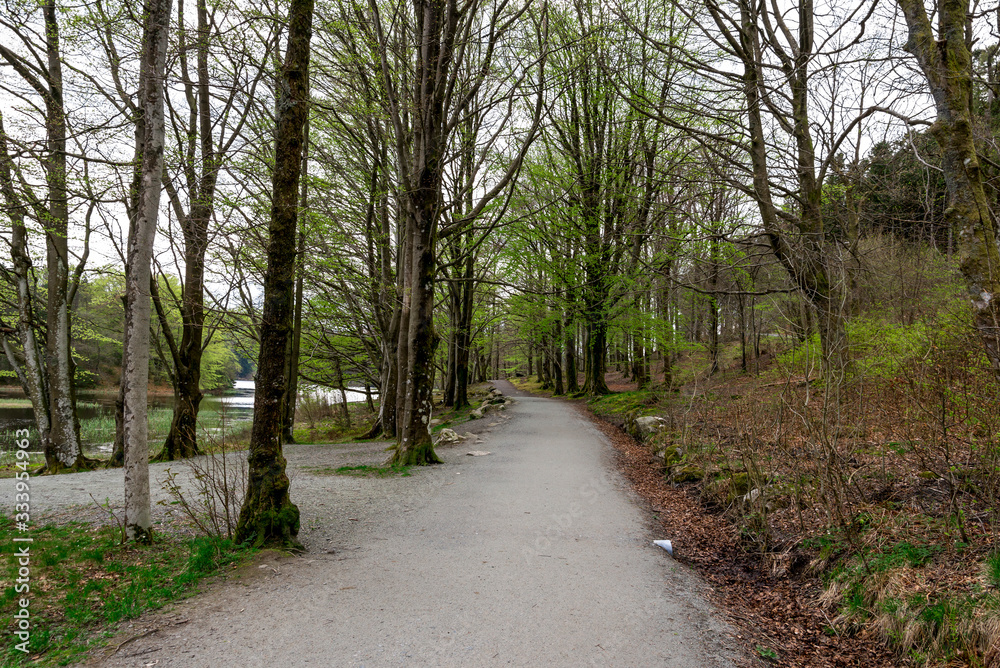 A scenic pedestrian foot path along Eivindsvannet lake in Djupadalen public recreational and hiking area, Haugesund, Norway, May 2018 A scenic pedestrian foot path along Eivindsvannet lake in Djupadalen public recreational and hiking area, Haugesund, Norway, May 2018