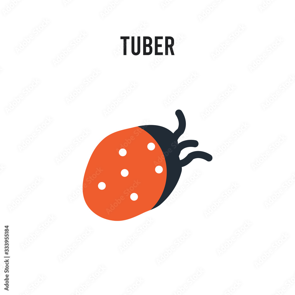 Obraz premium Tuber vector icon on white background. Red and black colored Tuber icon. Simple element illustration sign symbol EPS