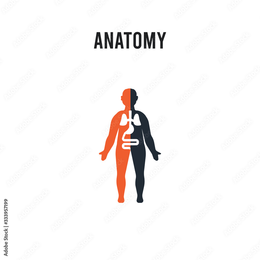 Anatomy vector icon on white background. Red and black colored Anatomy icon. Simple element illustration sign symbol EPS Anatomy vector icon on white background. Red and black colored Anatomy icon. Simple element illustration sign symbol EPS