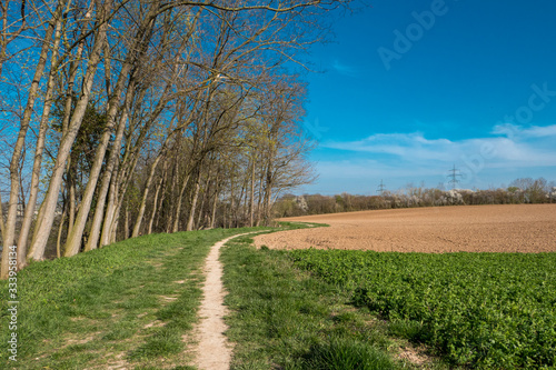 small hiking trail at the edge of the forest with blue sky and field