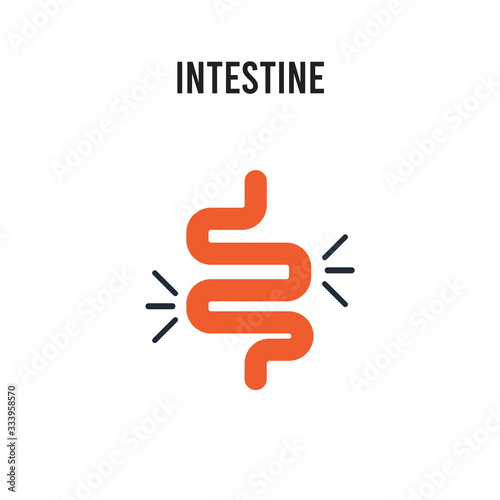 Intestine vector icon on white background. Red and black colored Intestine icon. Simple element illustration sign symbol EPS