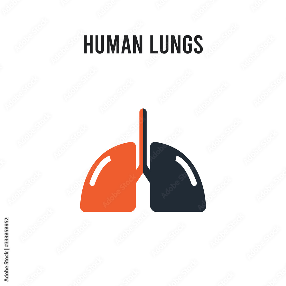 Human Lungs vector icon on white background. Red and black colored Human Lungs icon. Simple element illustration sign symbol EPS Human Lungs vector icon on white background. Red and black colored Human Lungs icon. Simple element illustration sign symbol EPS