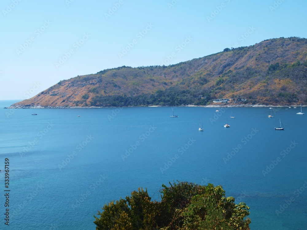 Panoramic view of the sea bay from the shore. A large island on the horizon in the background, the crown of a green tree in the center of the frame in the foreground. Seascape, boats and yachts.