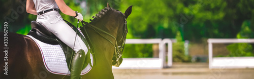 Dressage horse and rider in black uniform closeup. Horizontal banner for website header design. Equestrian sport competition  copy space.