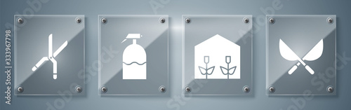 Set Gardening handmade scissors, Home greenhouse and plants, Garden sprayer and Gardening handmade scissors. Square glass panels. Vector