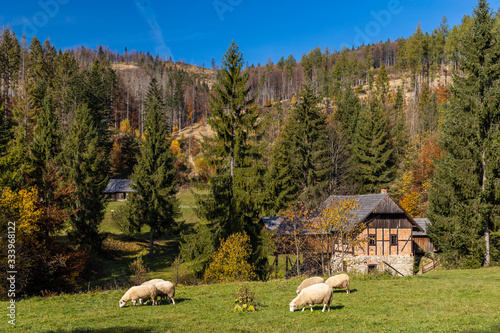 Museum Kysucke dediny in Kysuca, Slovakia photo