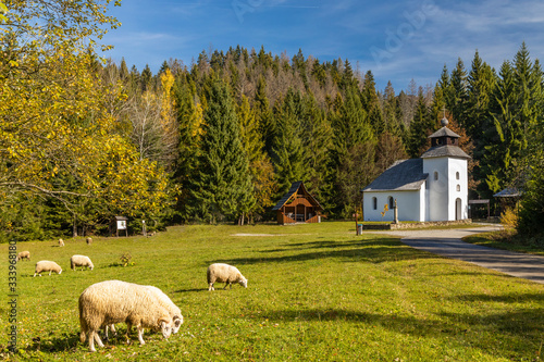 Museum Kysucke dediny in Kysuca, Slovakia photo