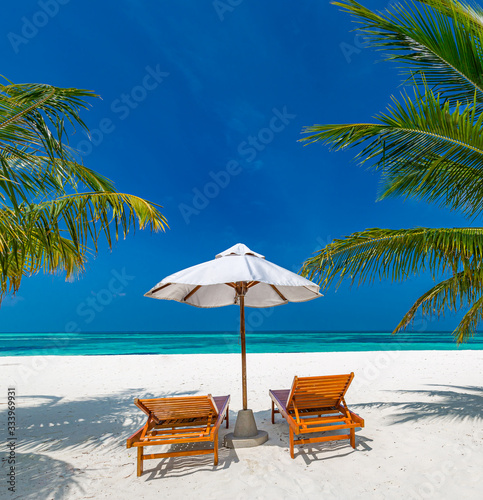 Fototapeta Naklejka Na Ścianę i Meble -  Tropical resort hotel leisure concept, landscape with palm trees over white sand and beach chairs, beds or loungers under umbrella. Luxury travel background banner design