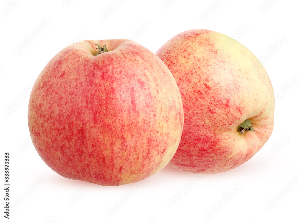 two apples isolated on white background with clipping path. two apples isolated on white background with clipping path.
