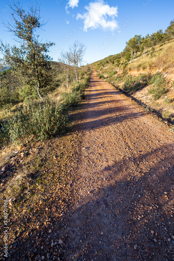 Camino de la Retuerta en los Montes de Toledo una mañana soleada de invierno. España. Europa. Camino de la Retuerta en los Montes de Toledo una mañana soleada de invierno. España. Europa.