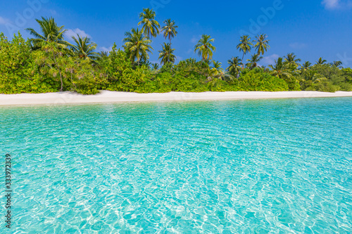 Tropical island beach landscape, blue sea lagoon, amazing palm trees over white sand and blue sky. Luxury paradise island beach vacation or travel background banner
