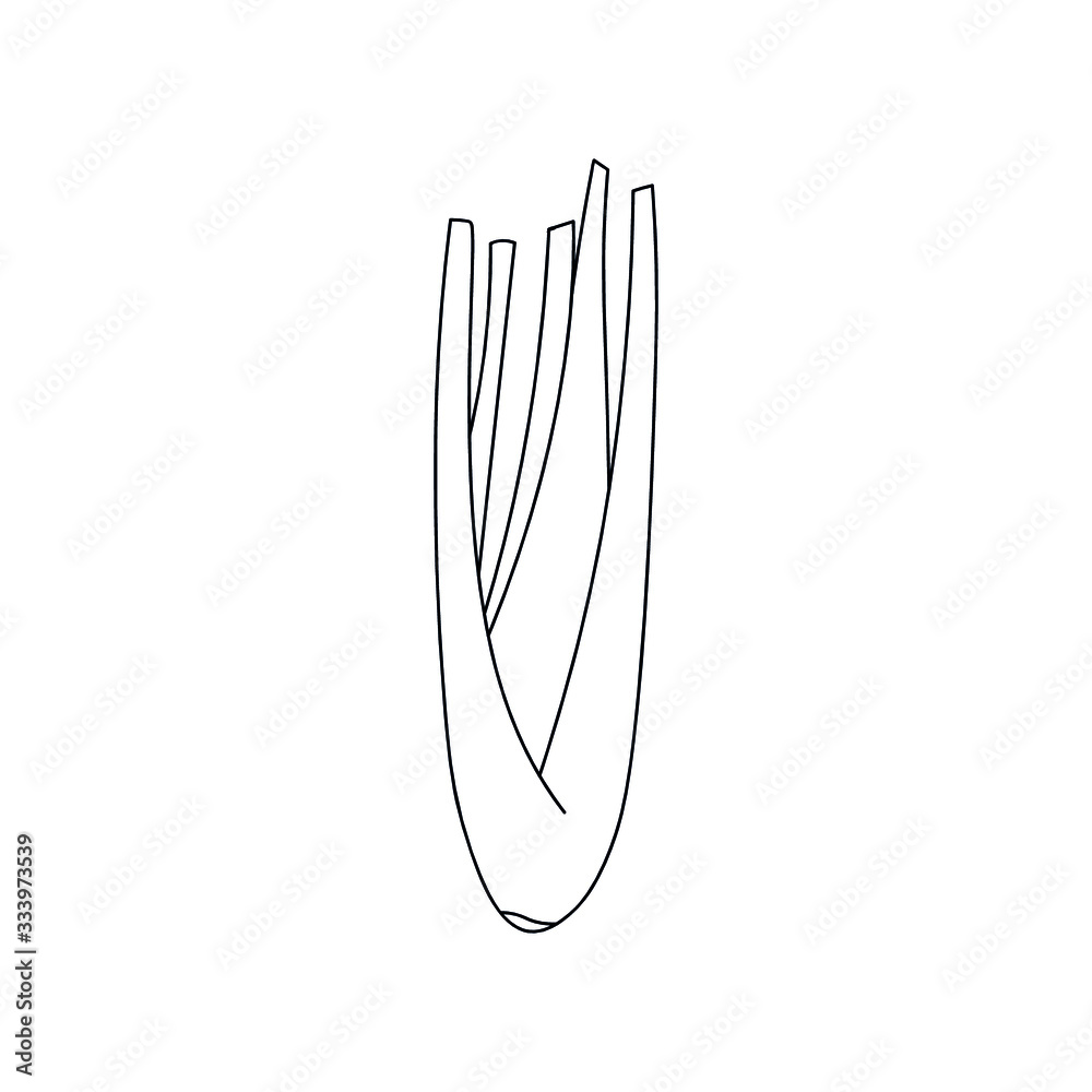 Hand drawn stalks of celery. Doodle vector illustration for vegan poster, banner, recipe, culinary design, logo. Isolated on white background