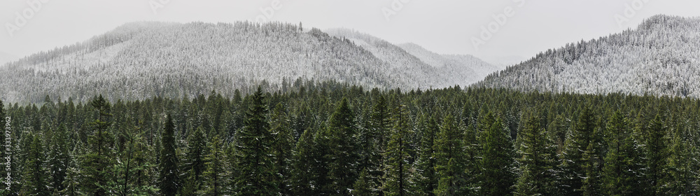 Obraz premium Snow Line