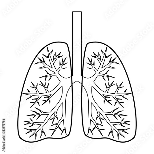 human lungs outline vector design