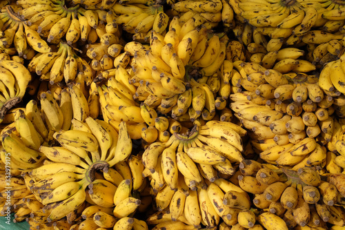 Bananas at Kumrokhali Market, West Bengal, India photo