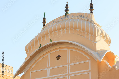 Rose-ringed Parakeet (Psittacula krameri), Khandela, Rajasthan, India photo