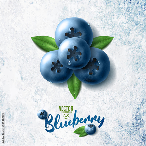 Vector realistic blueberry illustration and leaves on white stone background