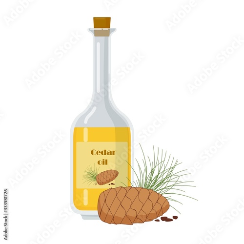 Cedar essential oil in glass bottle isolated on white background. Pine cone, green needles vector Illustration. Aromatherapy, product for organic shop .