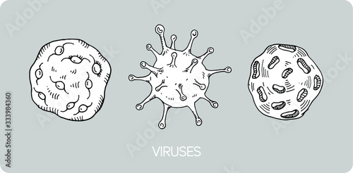 virus icon set. vector images of viruses. logo.