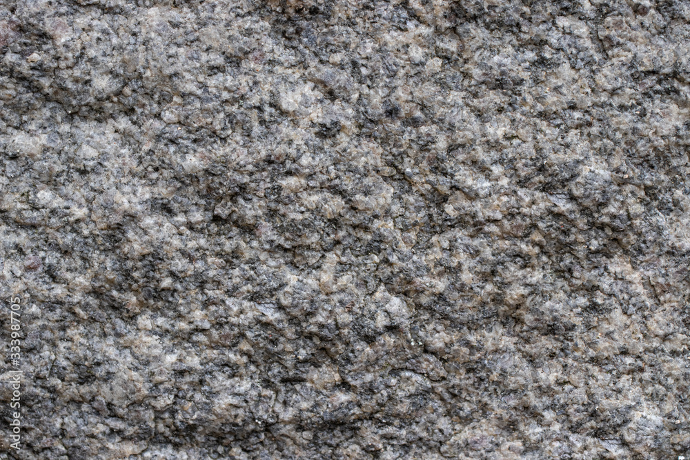 The texture of the stone. Light stone background. The texture of the stone. Light stone background.