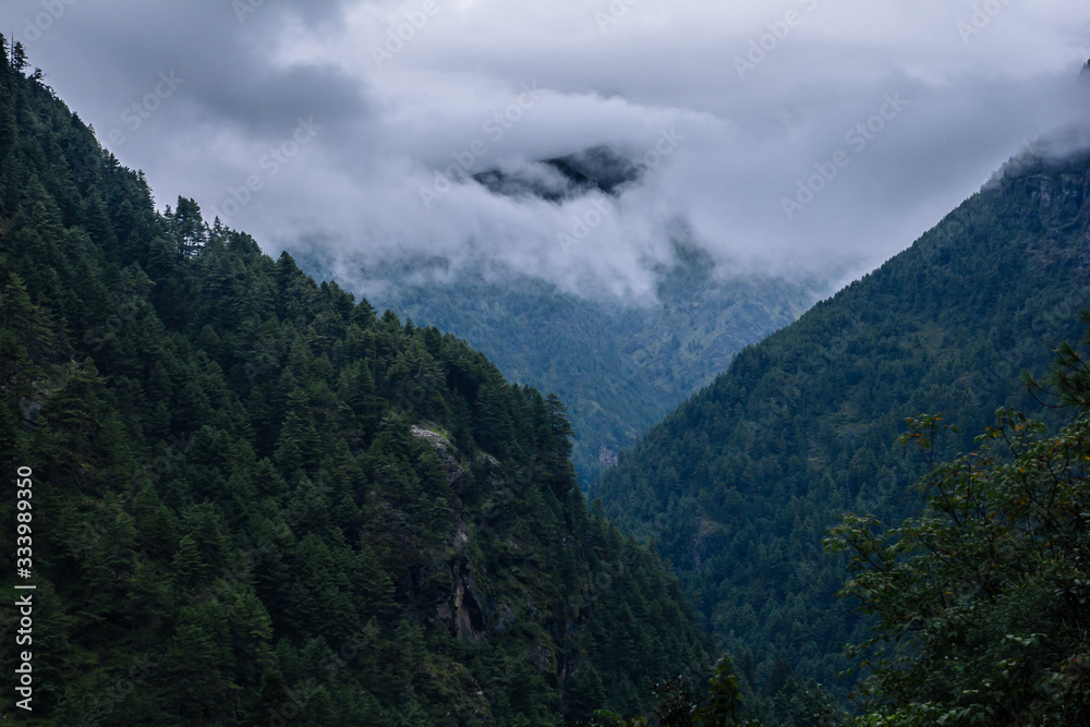 Himalaya mountain in clouds, green forest