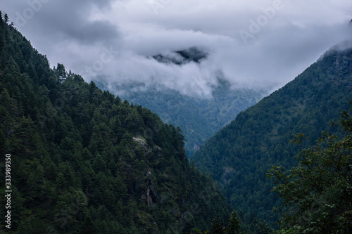Himalaya mountain in clouds, green forest