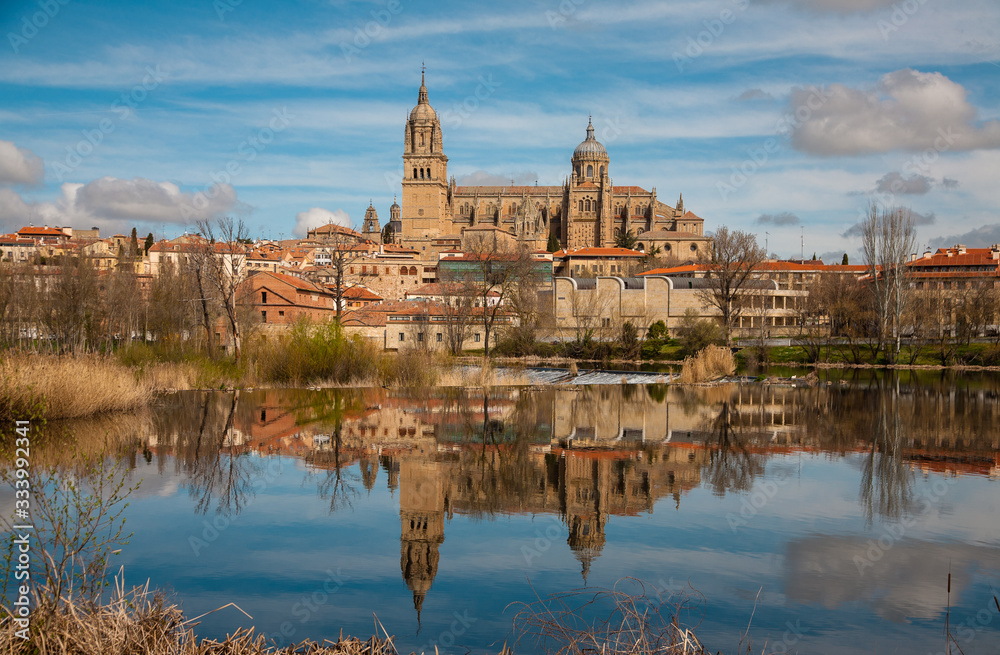 View of Salamanca and its Cathedral, reflected in the calm waters of the Tormes river. Spain