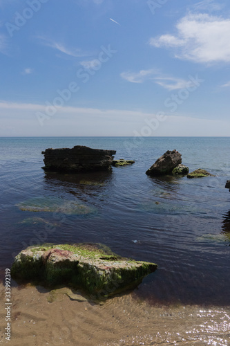 Mit Grünalgen überwucherte Felsen am Strand