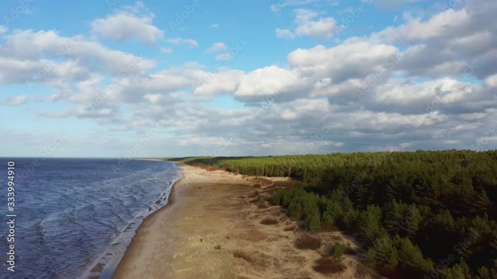 Aerial Dron Shot Garciems Beach, Latvia Baltic Sea Suny Winter Day Big Clouds Sand Dunes With Pine Trees Aerial Dron Shot Garciems Beach, Latvia Baltic Sea Suny Winter Day Big Clouds Sand Dunes With Pine Trees