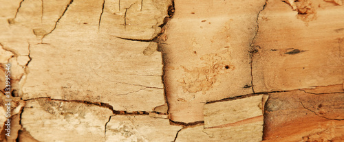 Close up dirty wooden texture use as natural background for design. Horizontal image.