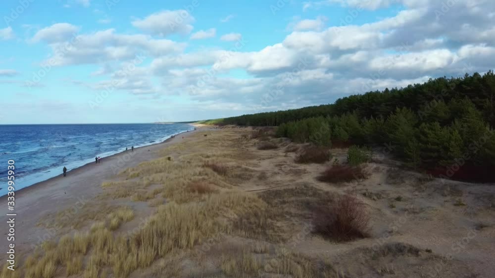Aerial Dron Shot Garciems Beach, Latvia Baltic Sea Suny Winter Day Big Clouds Sand Dunes With Pine Trees Aerial Dron Shot Garciems Beach, Latvia Baltic Sea Suny Winter Day Big Clouds Sand Dunes With Pine Trees