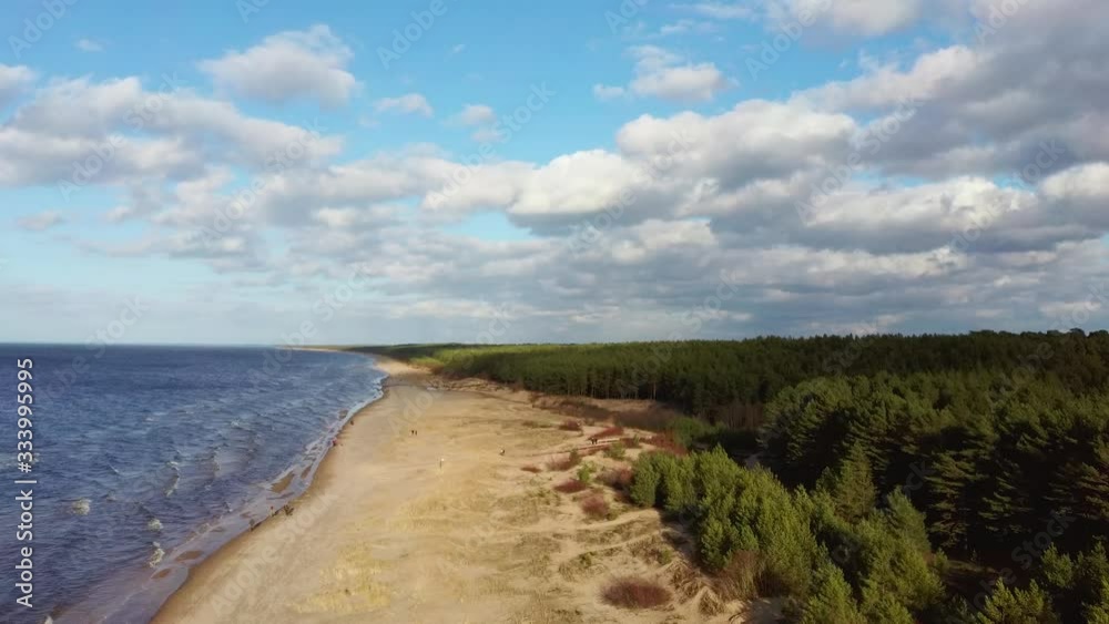 Aerial Dron Shot Garciems Beach, Latvia Baltic Sea Suny Winter Day Big Clouds Sand Dunes With Pine Trees Aerial Dron Shot Garciems Beach, Latvia Baltic Sea Suny Winter Day Big Clouds Sand Dunes With Pine Trees