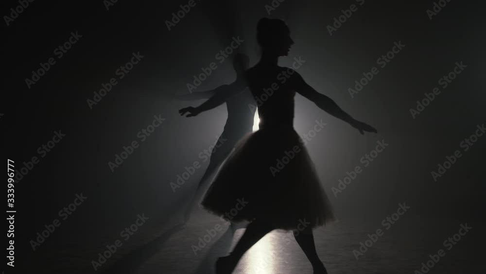 Silhouette of professional, sensual ballet dancers on dark smoke scene performed by couple in love. Choreographers practicing and showing classic art. 4k Silhouette of professional, sensual ballet dancers on dark smoke scene performed by couple in love. Choreographers practicing and showing classic art. 4k
