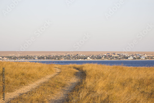 the road to the sea runs along the steppe with a feather grass. sea, seaside town and sky on the horizon