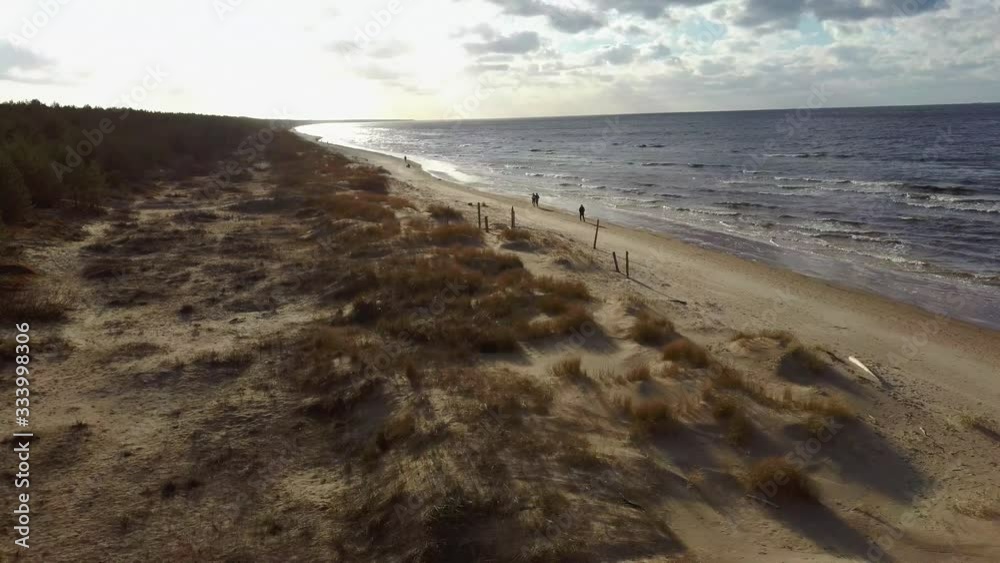 Aerial Dron Shot Garciems Beach, Latvia  Baltic Sea Suny Winter Day Big Clouds Sand Dunes With Pine Trees