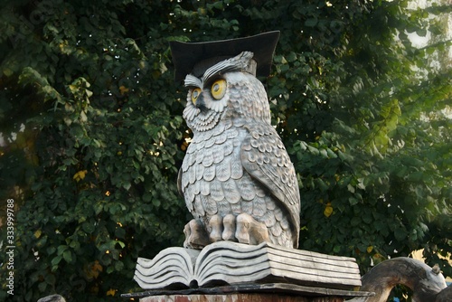 clever owl in tomsk
