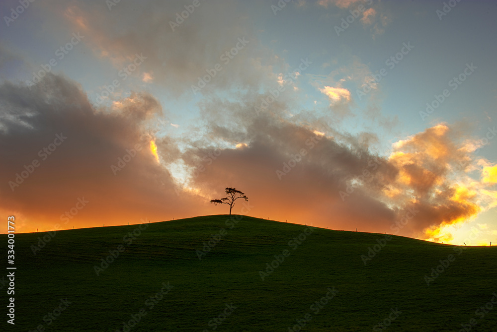 Irish landscape. Ireland. The lonely tree. Isolated tree on the top of a hill. Cloudscape. Irish landscape. Ireland. The lonely tree. Isolated tree on the top of a hill. Cloudscape.