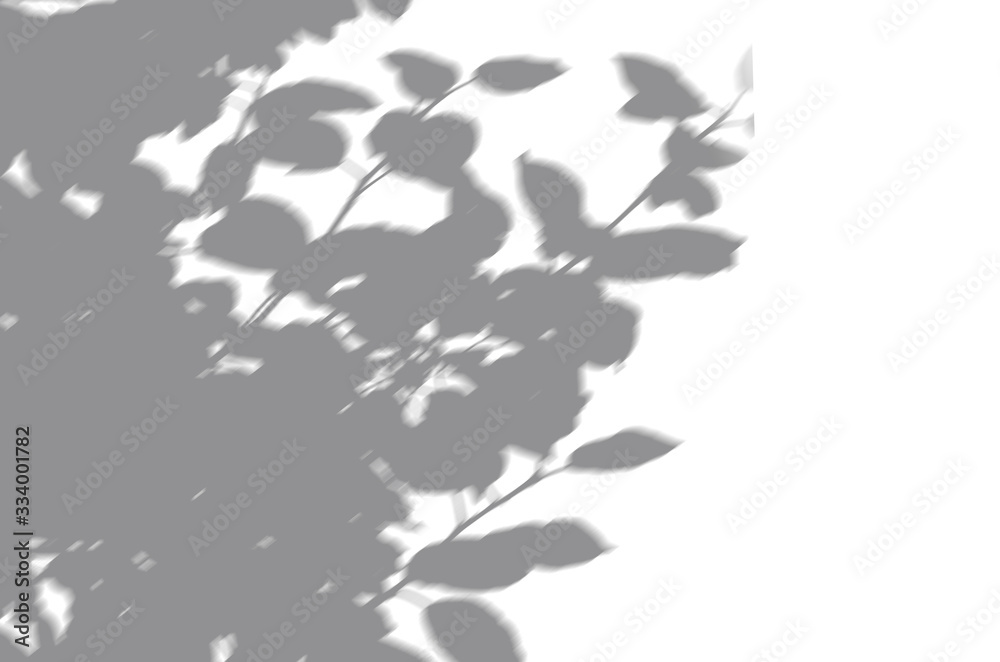 Summer background of shadows branch leaves on a white wall. White and Black for overlaying a photo or mockup Summer background of shadows branch leaves on a white wall. White and Black for overlaying a photo or mockup