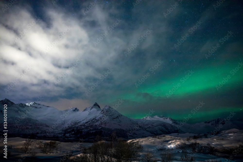 Polarlicht über einem Fjord - Lofoten - Norwegen im Winter
