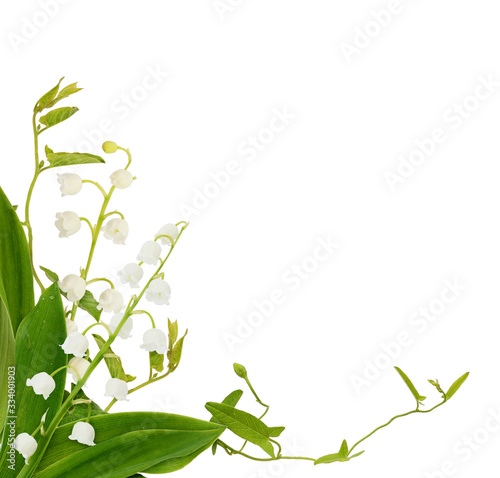 Lily of the valley flowers ...