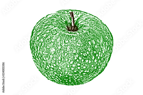 Vector manzanas verde y roja