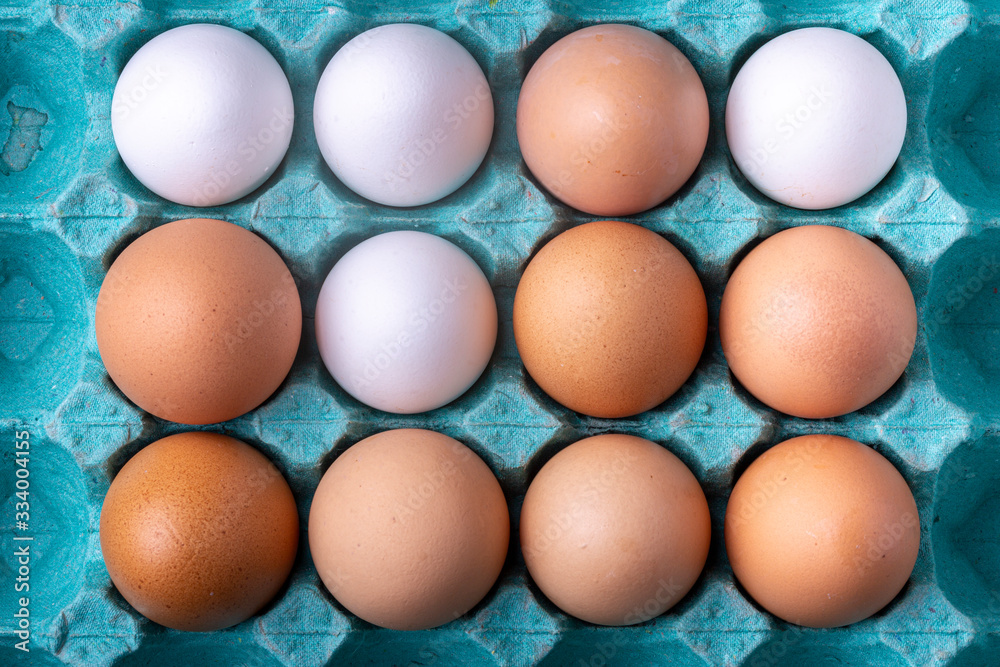 Full colourful teal egg carton box with brown and white chicken eggs well lit in studio lighting Full colourful teal egg carton box with brown and white chicken eggs well lit in studio lighting