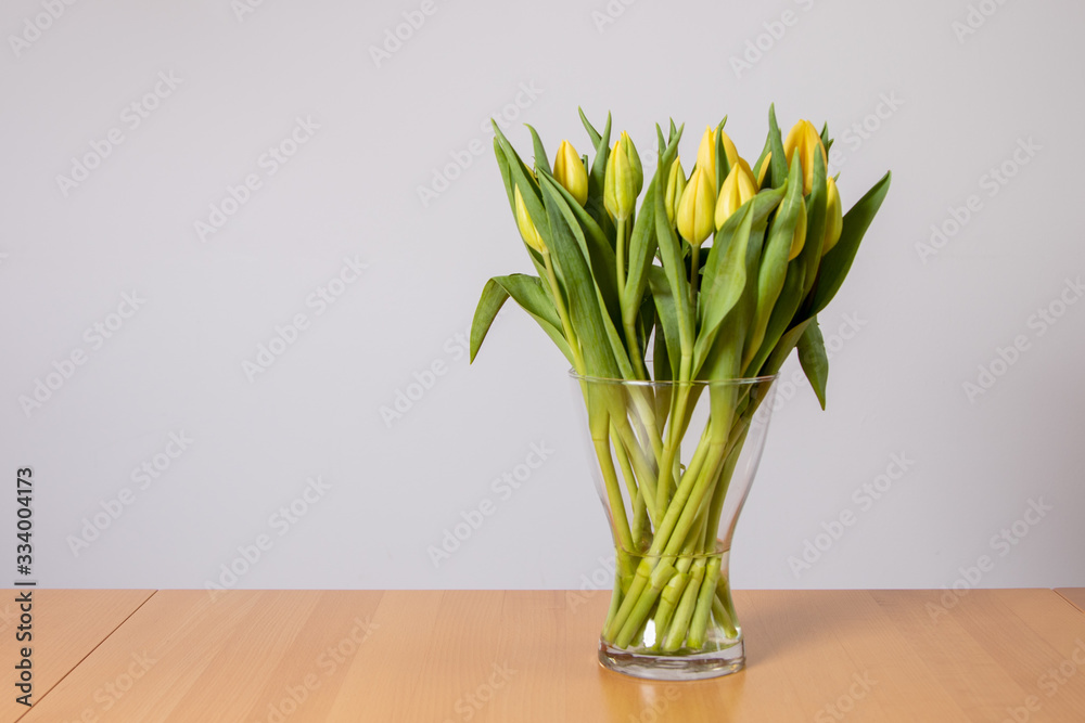 close-up of tulip blossoms, white background close-up of tulip blossoms, white background