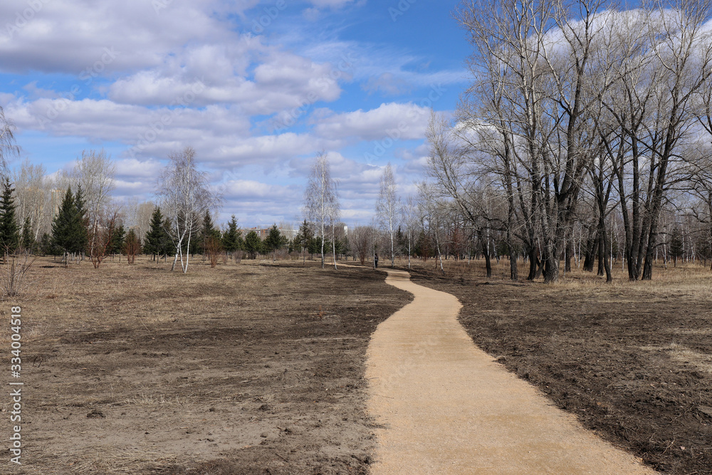 Spring landscape: dirt footpath in the park, bare earth and tree Spring landscape: dirt footpath in the park, bare earth and tree