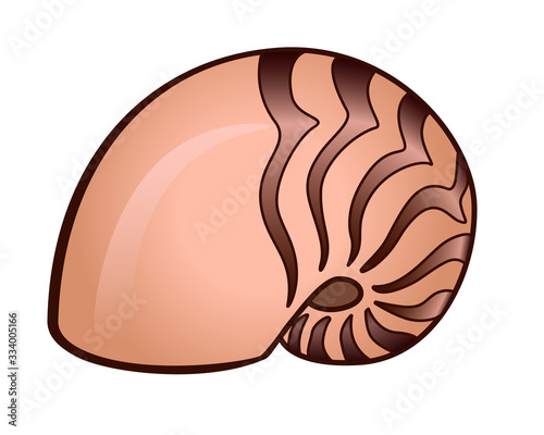 Shell. A swirling beige shell with brown stripes - vector full color picture. Sea life is a clam in a shell. Ocean and river inhabitants. Mollusk nautilus